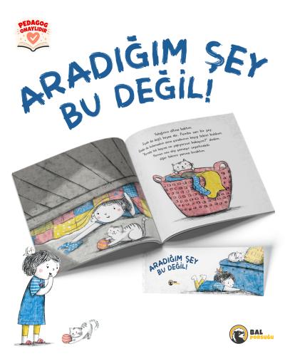ARADIĞIM ŞEY BU DEĞİL!
