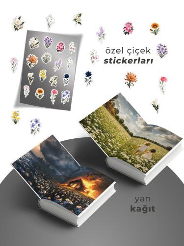 SET - MIH SERİSİ (4 KİTAP) - CİLTLİ