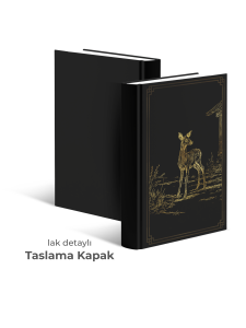 DUZAH 2: SONSUZ ACI - CİLTLİ