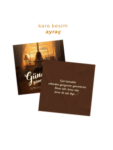 GÜNDÜZ GÜNCELERİ - CİLTLİ