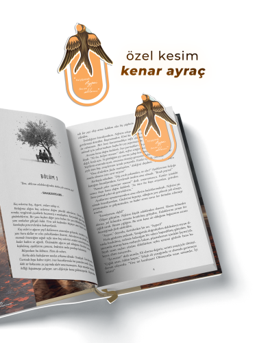 ÖZEL SERİ - TOZLU PEMBE 2 - CİLTLİ